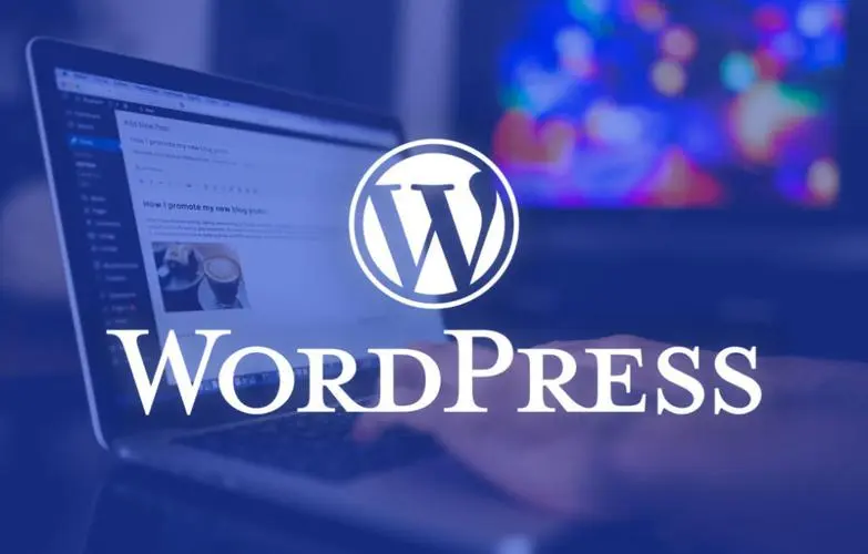 使用WordPress零基础自建外贸B2C独立站(完整教程)